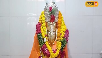 पिंपळाच्या