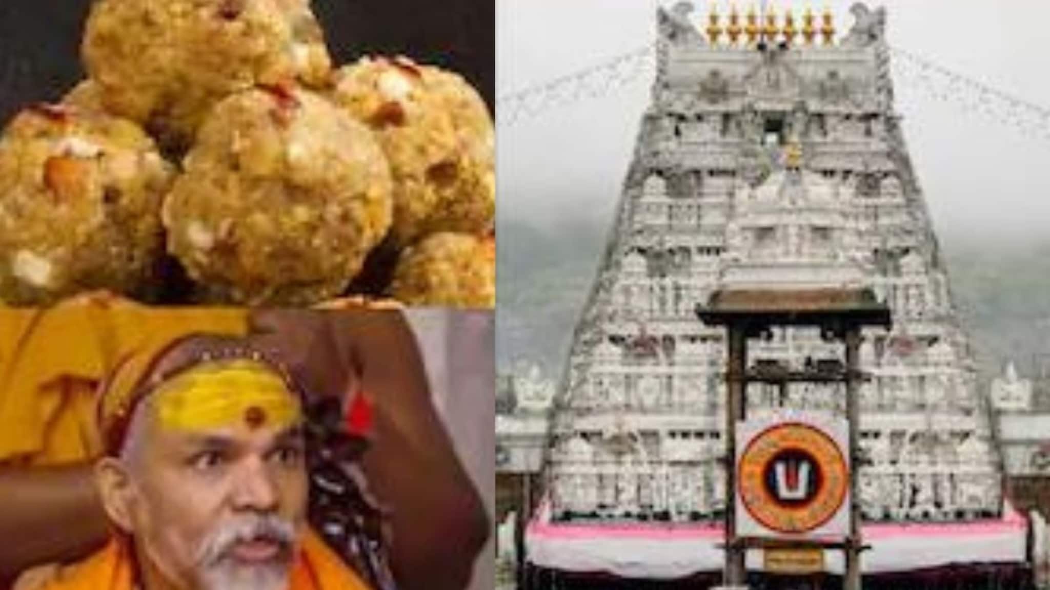 प्राण्यांची चरबी असलेला तिरुपतीचा लाडू खाऊन शरीर अपवित्र; आता काय करायचं? शंकराचार्यांनी सांगितलं
