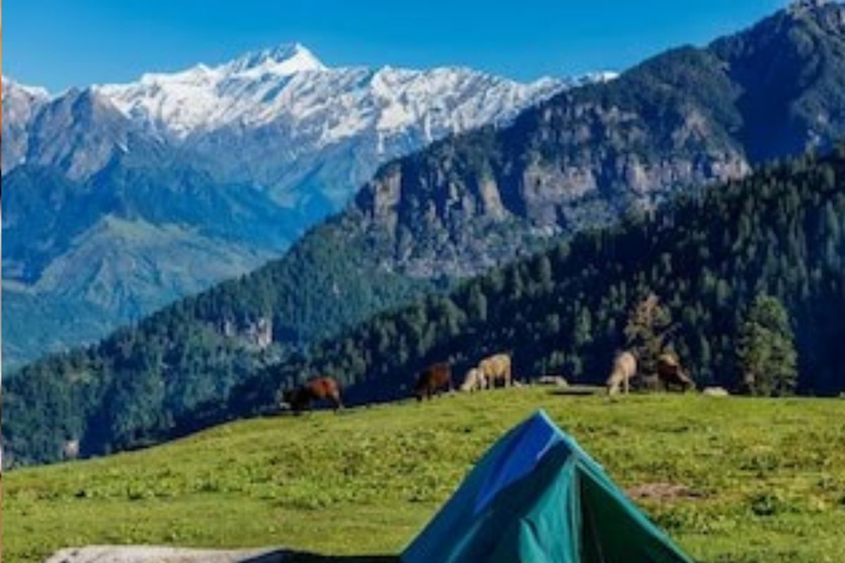 क्या आप भारत में जीरो नाम की जगह के बारे में जानते हैं? यह जगह खास है क्या आप भारत में जीरो नाम की जगह के बारे में जानते हैं? यह जगह खास है