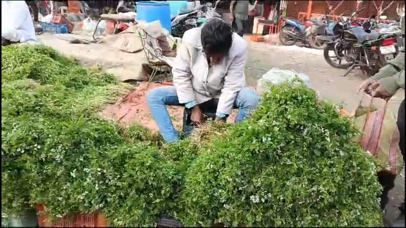 कोथिंबीरचा वापर केल्याने पोटाच्या समस्यांपासून आराम मिळतो आणि अपचन, पोटदुखी, गॅसच्या समस्यांपासून मुक्ती मिळते. यामुळे पाचक शक्ती वाढते. हिवाळ्यात अतिसाराची समस्या उद्धभवते. ही समस्या कोथिंबिरीमुळे दूर होते.