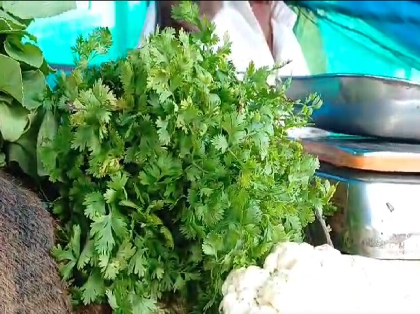 कोथिंबीरीचे नियमित सेवन केल्याने सर्दी आणि खोकल्यापासून आराम मिळतो. कोथिंबिरीत असलेले घटक शरीरातील कोलेस्ट्रॉल कमी करून नियंत्रणात ठेवतात. रक्तातील इन्सुलिनचं प्रमाणही नियंत्रित करतं.