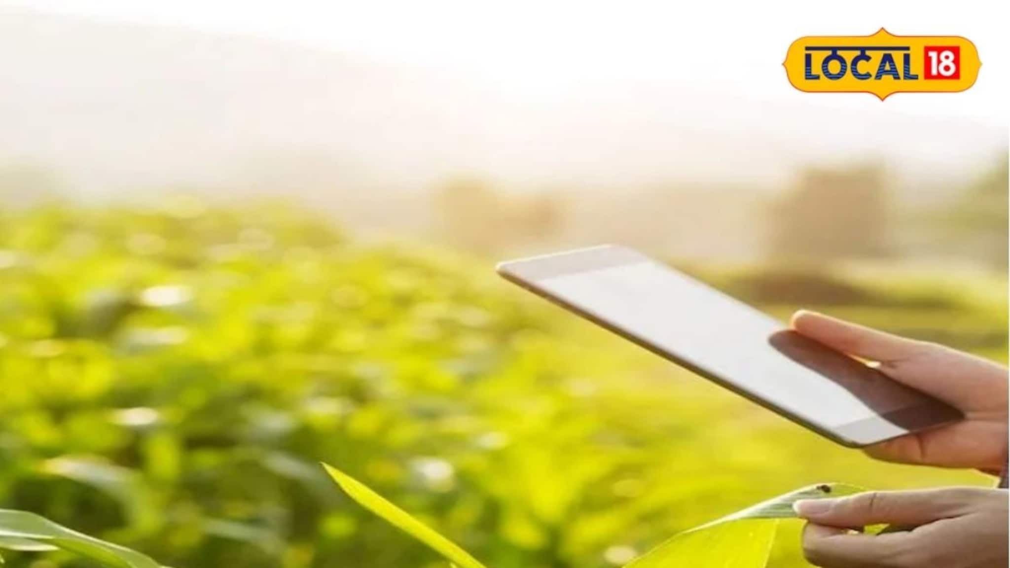 ई-पीक पाहणी नोंदणीसाठी 23 सप्टेंबरपर्यंत मुदतवाढ, काय आहे प्रक्रिया?