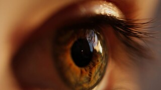 प्रतिकात्मक फोटो