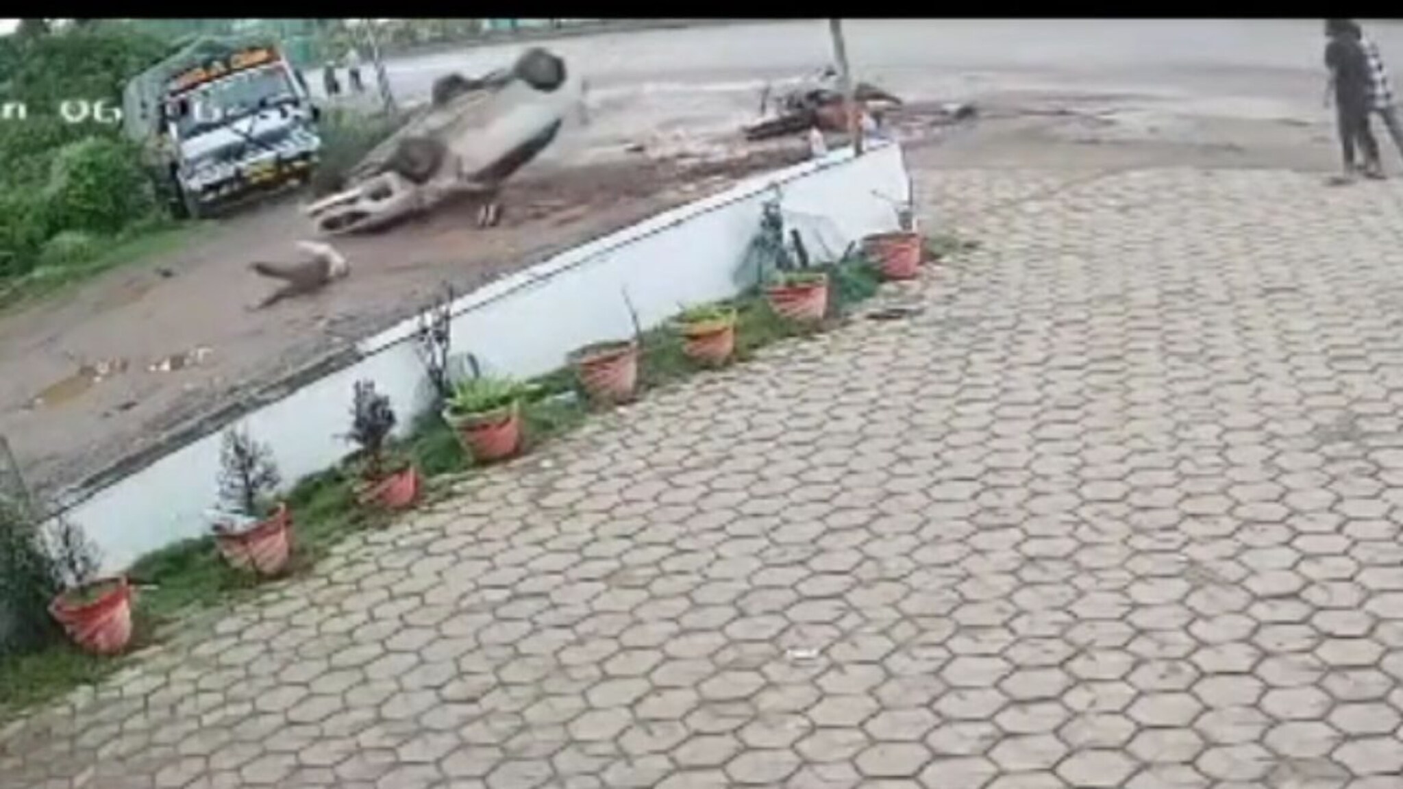 भरधाव कारनं तिघांना चिरडलं; गोंदिया हिट अँड रननं हादरलं, Video