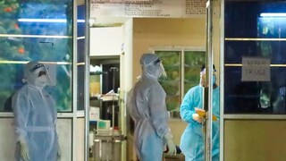 निपाह व्हायरसचं संकट