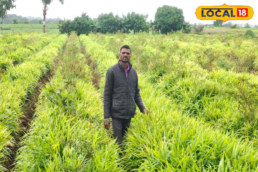 शेतकऱ्यांनी आपल्या पिकांची योग्य काळजी घ्यावी. विशेषकरून मोसंबी बागेवर रोगांचा प्रादुर्भाव जाणवत आहे. पावसाचा जोर वाढल्यास नुकसान होऊ शकते. त्यामुळे शेतकऱ्यांनी योग्य ते व्यवस्थापन करण्याची गरज आहे.