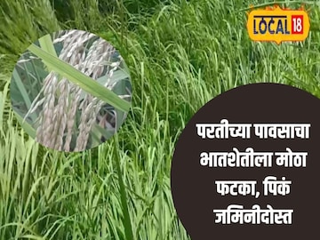 सिंधुदुर्ग