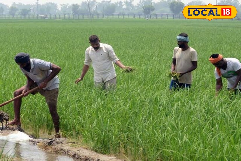 सांगली जिल्ह्यात मध्यम स्वरूपाच्या पावसाचा अंदाज आहे. येत्या आठवड्यात सांगली शहरासह परिसरात जोरदार पावसाची शक्यता आहे. सांगलीमध्ये गुरुवारी 28 अंश कमाल तर 21 अंश सेल्सिअस किमान तापमान असेल.