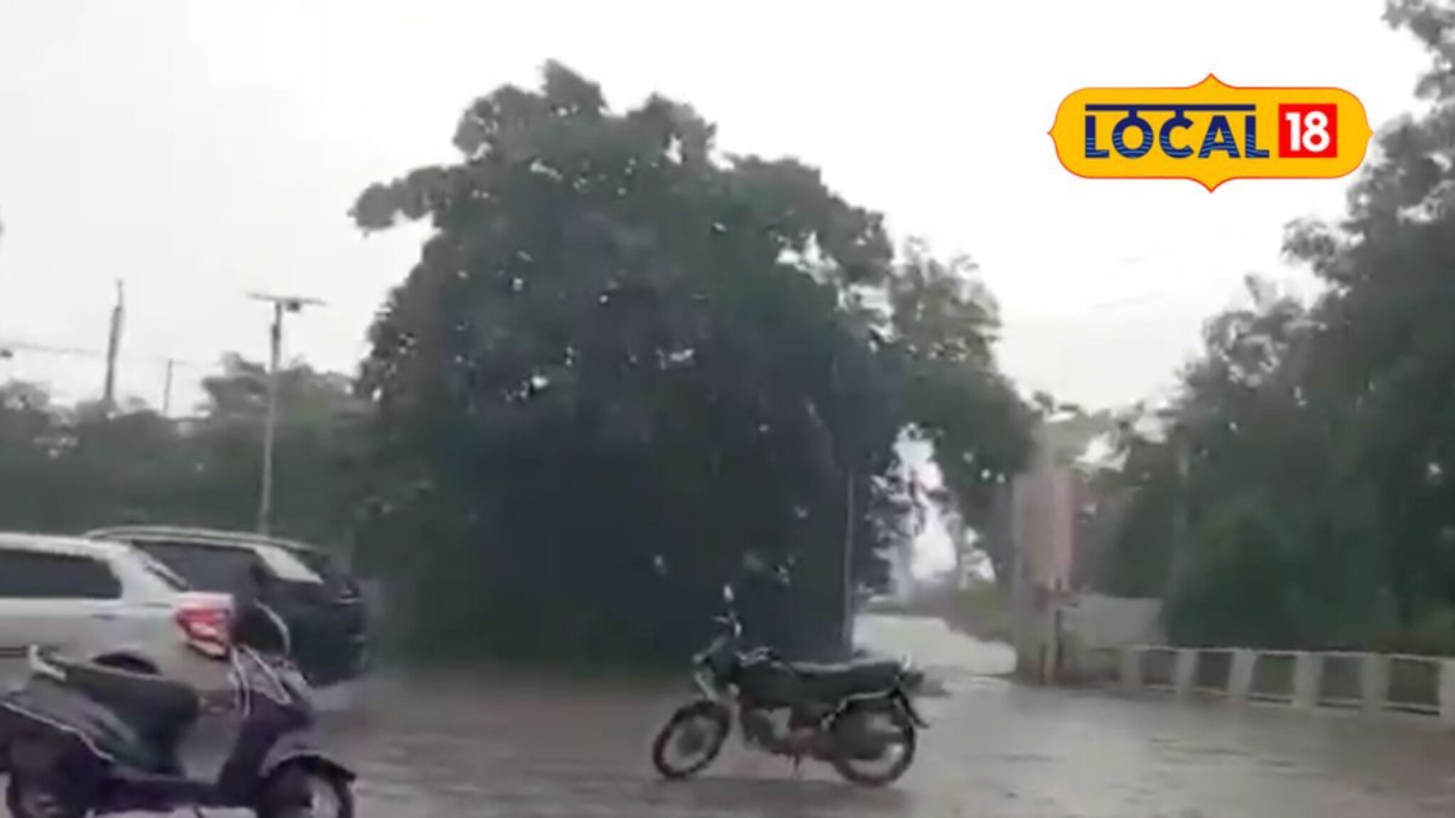 थंडीचा कडाका कमी, विदर्भात पुढील 3 दिवस पावसाचे, IMD नं दिला अलर्ट