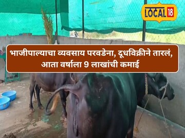 बीड