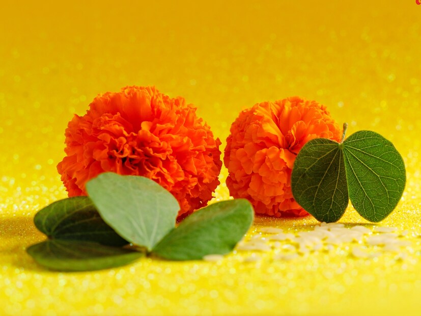 त्याप्रमाणे भगवान इंद्रानी आपट्याच्या पानांच्या रूपाने सुवर्ण वर्षाव केला. त्यामुळे आपट्याचे पान आपण विजयदशमीला लुटतो आणि ते सुवर्णाचे प्रतिक आहे, अशी अख्यायिका सांगितली जाते. 