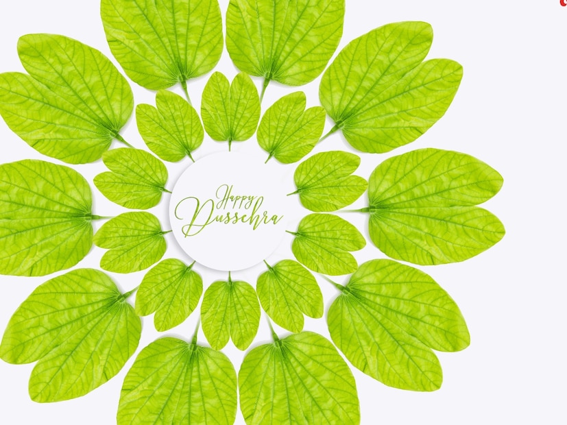 दसऱ्याच्या दिवशी सोनं लुटण्यालाही खास महत्त्व आहे. सोन्याच्या रूपात आपट्याची पाने लुटली जातात आणि हीच पाने एकमेकांना देऊन दसऱ्याच्या शुभेच्छा दिल्या जातात. 