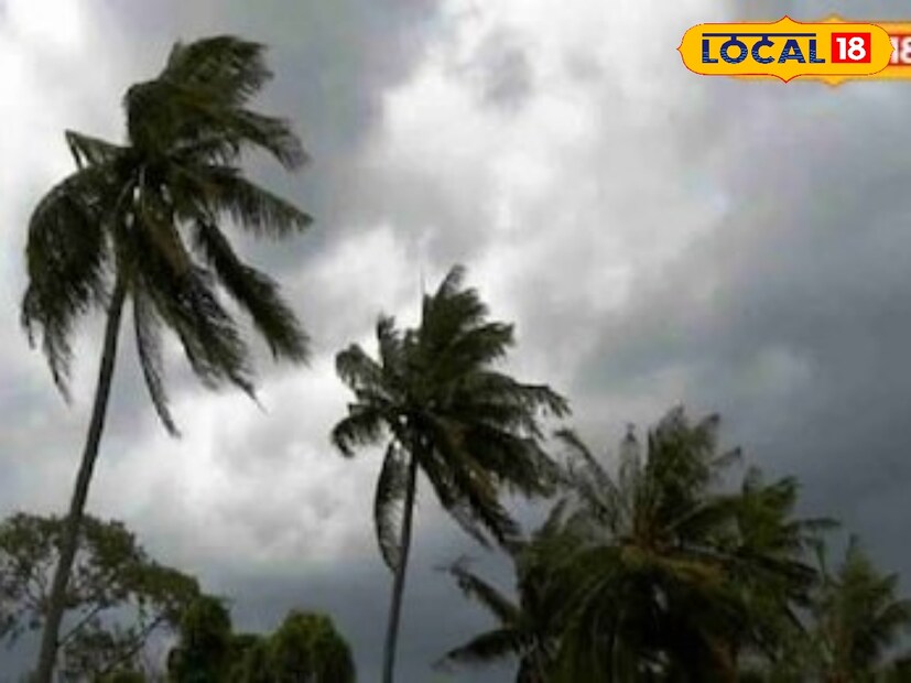 सांगली जिल्ह्यात जोरधार पावसाला सुरुवात झाली आहे. त्यामुळे खरीप हंगामातील तूर, उडीद पिकांच्या काढणीला या पावसामुळे ब्रेक लागला आहे. मिरज, जत,तासगाव, शिराळा, आटपाडी,पलूस,कडेगाव या भागात जोरधार पावसाची शक्यता हवामान विभागाने वर्तवली आहे. सांगली जिल्ह्यात 25 अंश सेल्सीअस कमाल तर 20 अंश सेल्सीअस किमान तापमान असेल. 