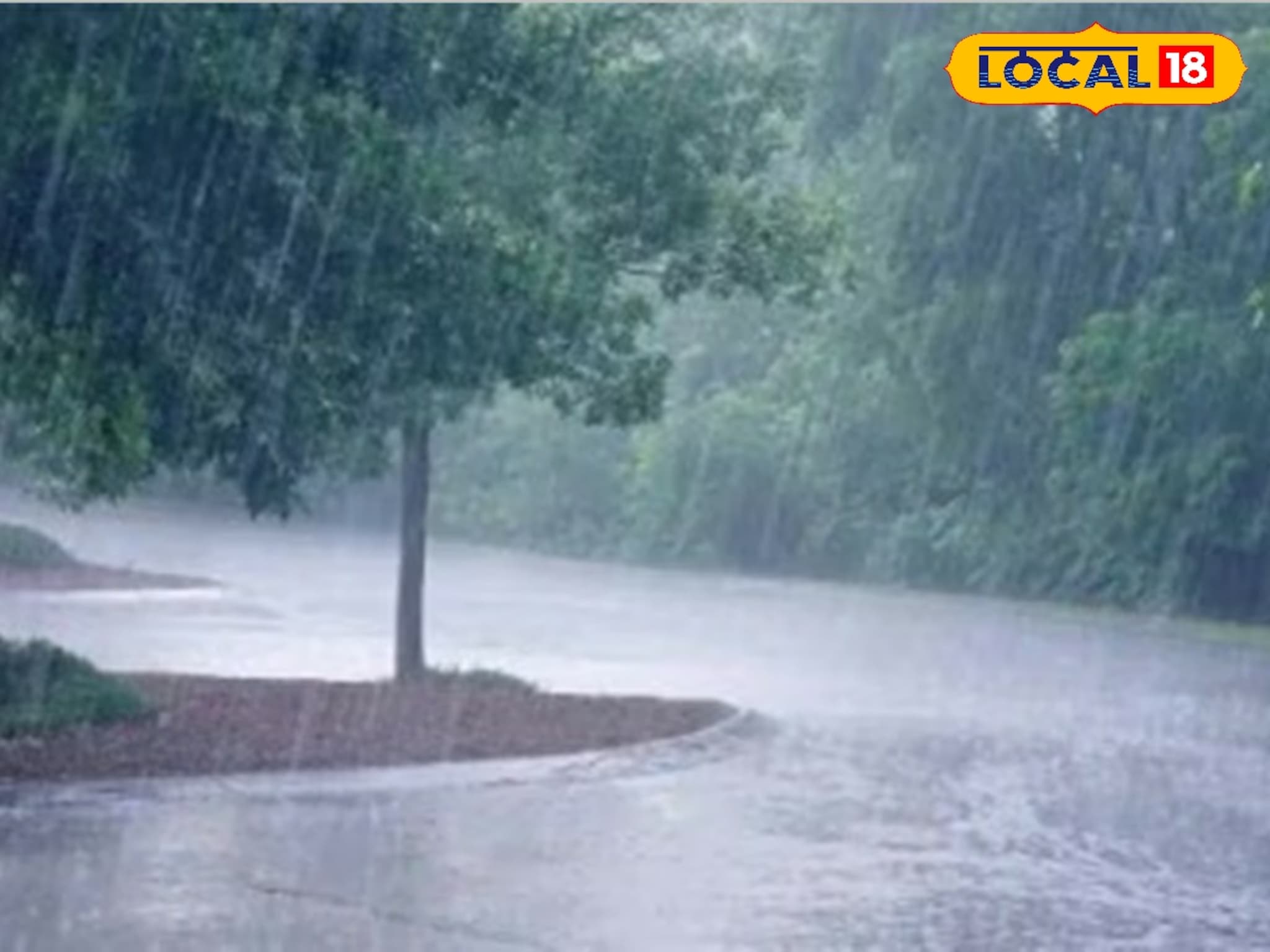 पश्चिम महाराष्ट्रात आज जोरधार, इथं पाहा तुमच्या जिल्ह्यातील पावसाचा अंदाज?