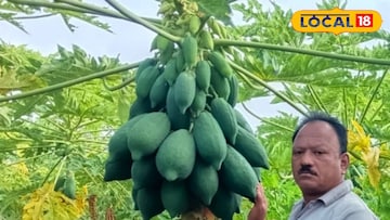 कृषिभूषण