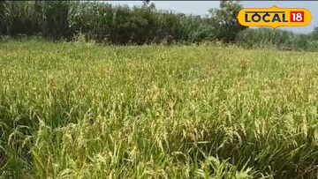 धाराशिव 