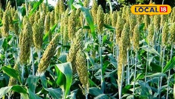 प्रतिकात्मक