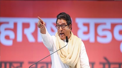 ''महायुतीने आमची फसवणूक केली'', राज ठाकरेंचा शिलेदार संतापला
''महायुतीने आमची फसवणूक केली'', राज ठाकरेंचा शिलेदार संतापला