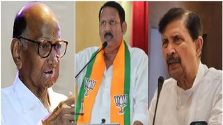 शरद पवार-उदयनराजे-रामराजे निंबाळकर