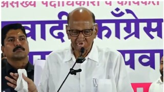 शरद पवार (ज्येष्ठ नेते)