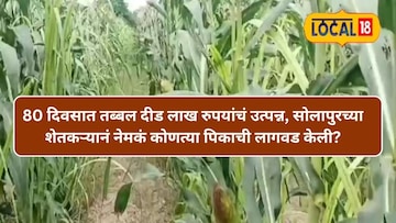 सोलापूर