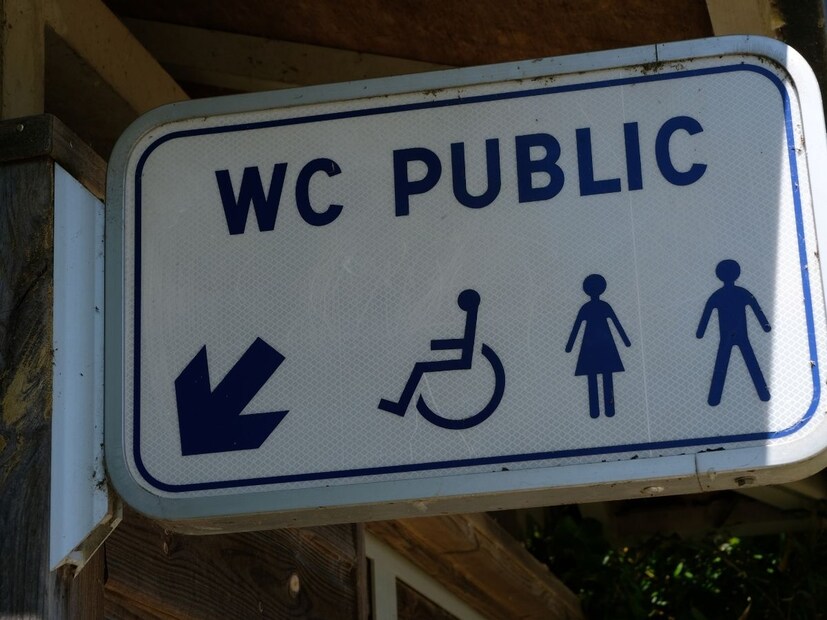 पण तुम्ही आणखी एक गोष्ट पाहिली आहे का? या सार्वजनिक टॉयलेटबाहेर WC असंही लिहिलेलं असतं. याचा अर्थ काय? याचा विचार तुम्ही कधी केला आहे का?