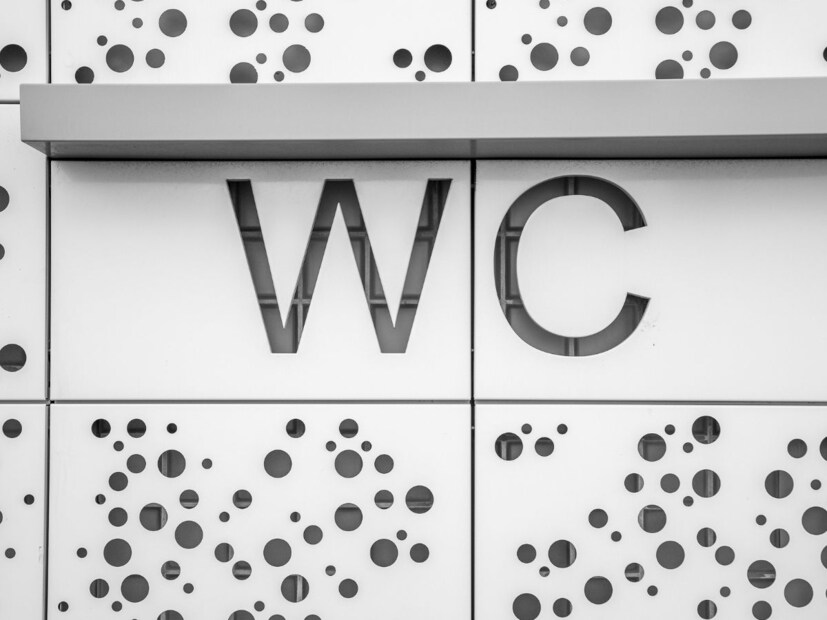 बाथरूमला अनेक नावं आहे. रेस्टरूमपासून टॉयलेटपर्यंत अनेक नावं तुम्ही पाहिली आहेत. WC सुद्धा बाथरूमचं आणखी एक नाव. जो एक शॉर्टफॉर्म आहे. याचा फुलफॉर्म वाटर क्लोसेट असा आहे.