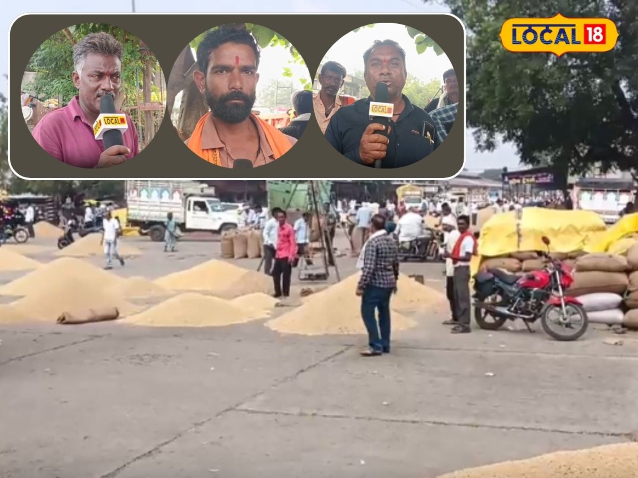 10 वर्षातील सर्वात कठीण वेळ, सोयाबिन पिकाला कमी भाव; अमरावतीमधील शेतकऱ्यांनी...