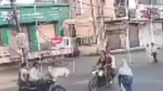 व्हायरल व्हिडीओ