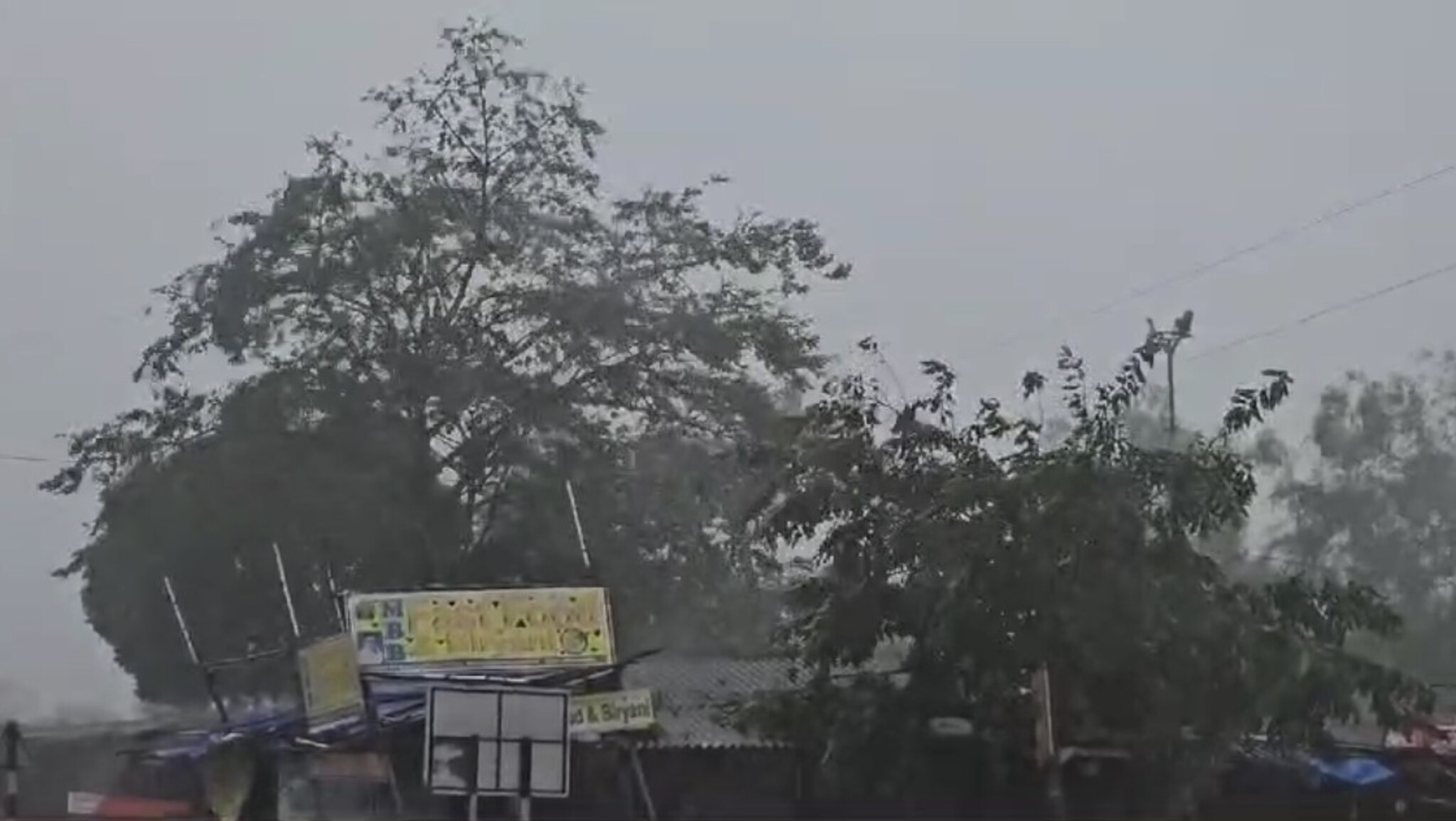 'दाना' चक्रीवादळाचा तडाखा; अतिवृष्टी, महापुराचे संकट