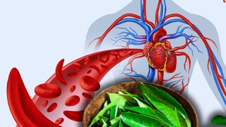 आजकाल बहुतेक लोकांच्या शरीरात हिमोग्लोबिनची कमतरता आढळते. शरीरात जेव्हा लाल रक्तपेशींची निर्मिती नीट होत नाही तेव्हा ही समस्या उद्भवते.