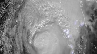 फोटो : सोशल मीडिया व्हायरल व्हिडीओ ग्रॅब