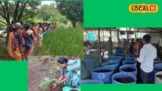महिलांना गांडूळ खताचे प्रशिक्षण