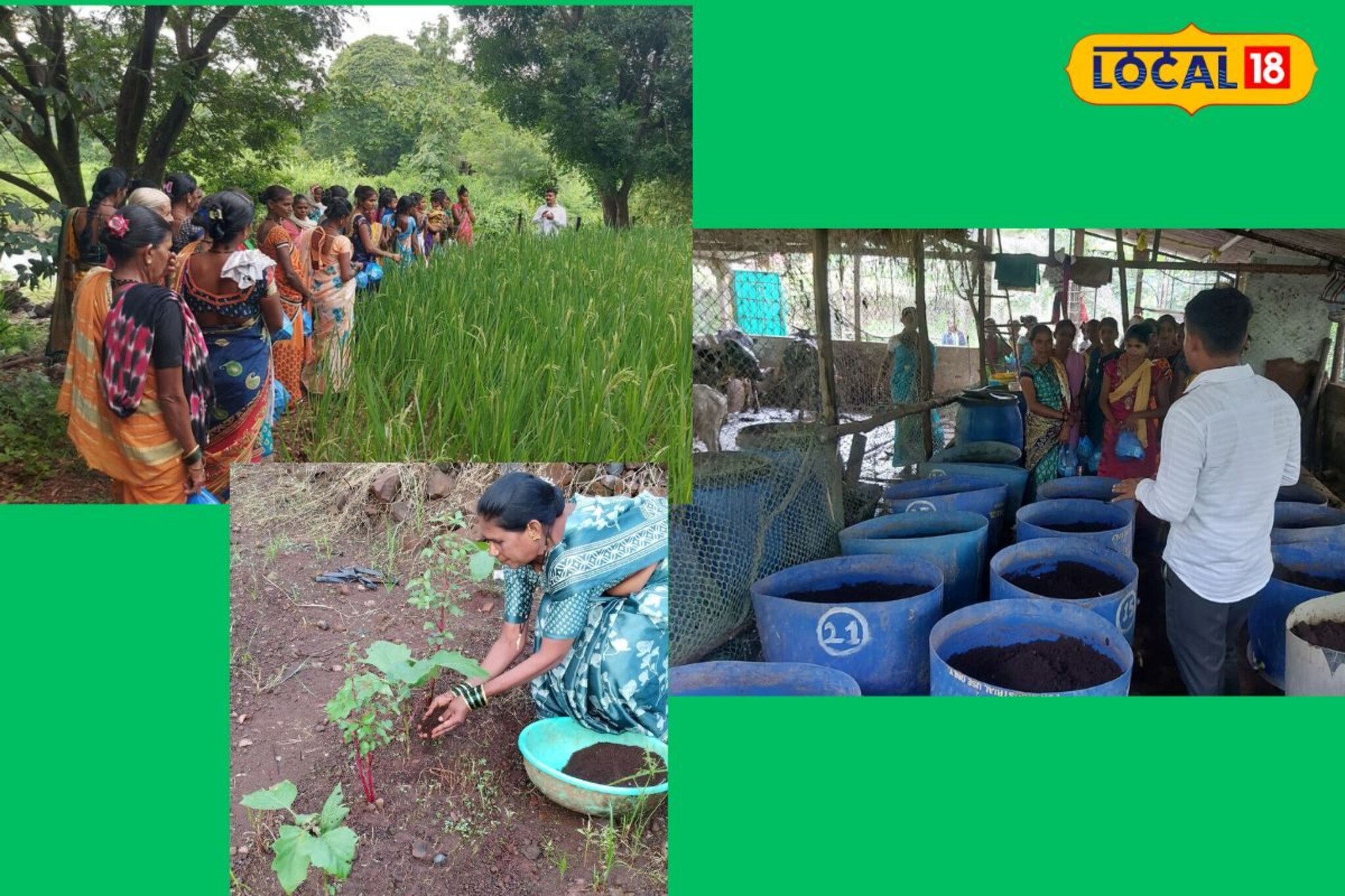 युवा परिवर्तन संस्थेचा कौतुकास्पद उपक्रम, 150 महिलांना दिले गांडूळ खत तयार...