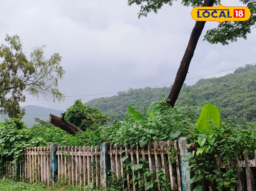 सातारा जिल्ह्यातील काही भागात सायंकाळी जोरधार वाऱ्यासह विजांच्या कडकडाटात, ढगांच्या गडगडाटात मुसळधार पाऊस होण्याची शक्यता हवामान विभागाने वर्तवली आहे. साताऱ्यात 26 अंश सेल्सीअस कमाल तर 20 अंश सेल्सीअस किमान तापमान असेल.