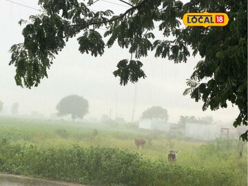 फटाक्यांच्या मोसमात पावसाची आतषबाजी? विचित्र हवामानामुळं विदर्भात वाढलं टेन्शन