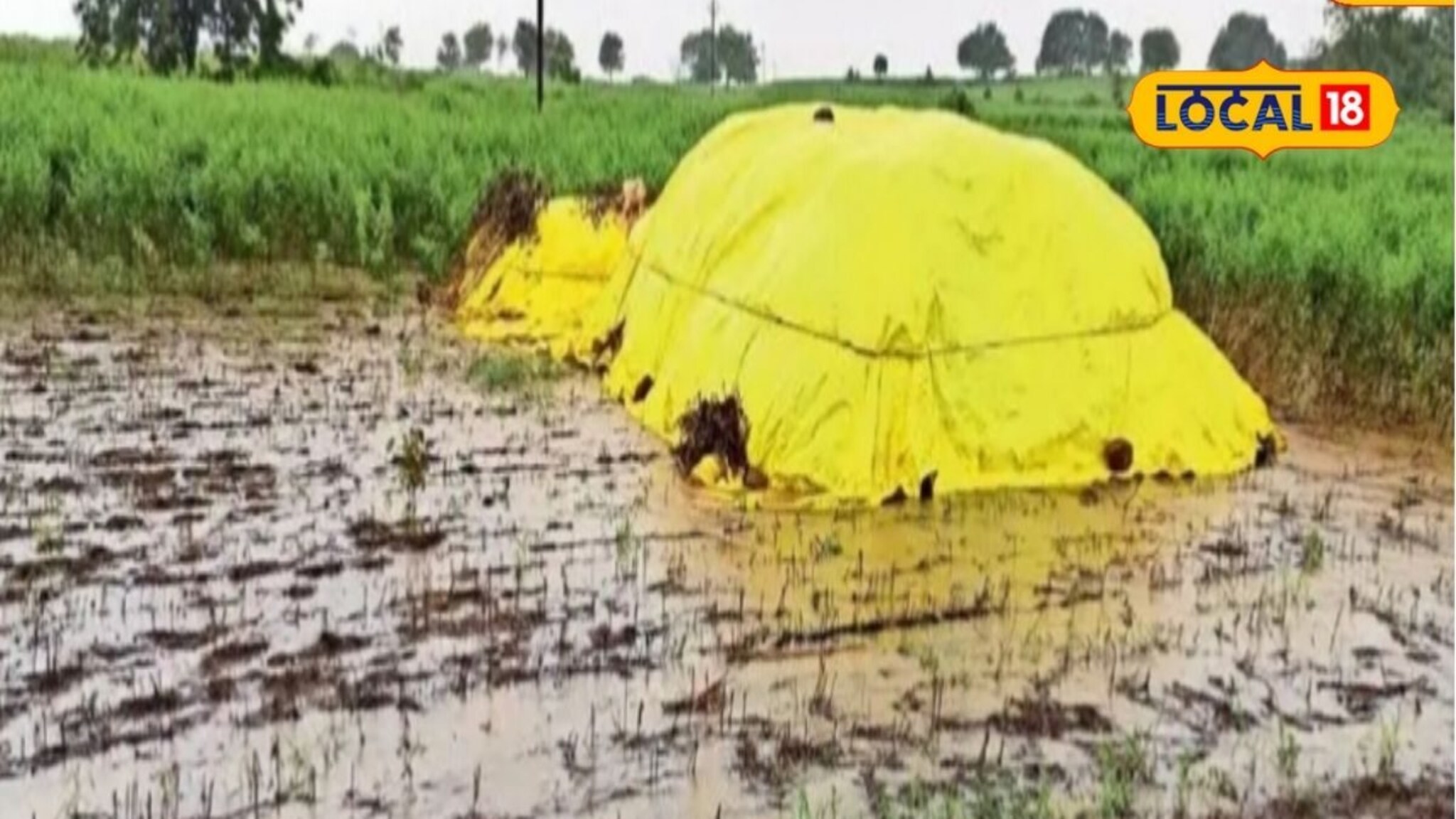 आजचा दिवस पावसाचा! पश्चिम महाराष्ट्रात जोरधार, पुण्याला अलर्ट