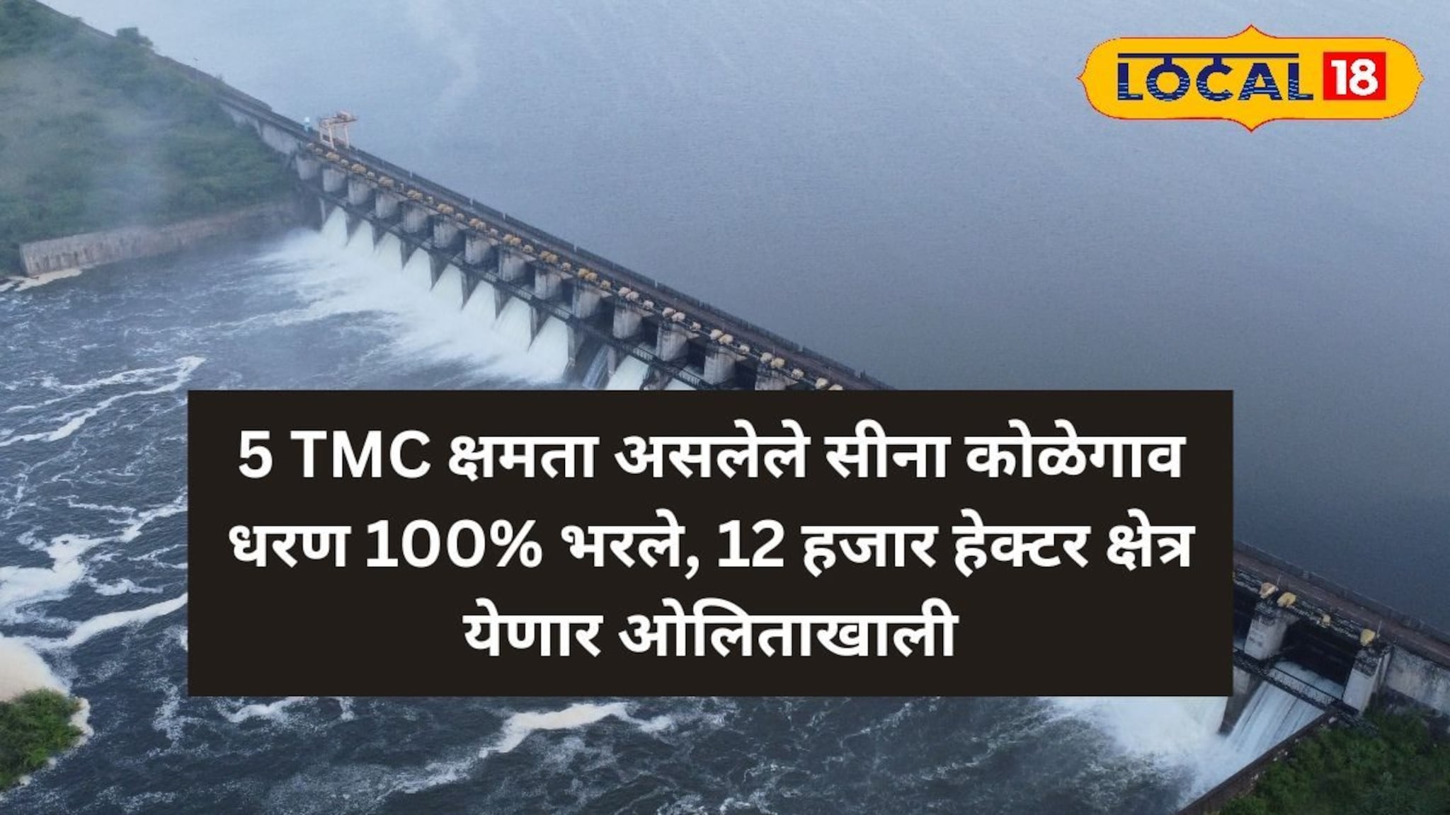 5 TMC क्षमता असलेले सीना कोळेगाव धरण 100% भरले, 12 हजार हेक्टर क्षेत्र येणार ओलिताखाली