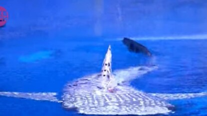 व्हायरल व्हिडीओ व्हायरल व्हिडीओ