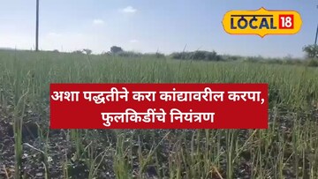 सोलापूर