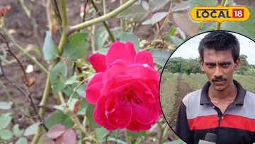 सोलापूर