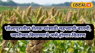 सोलापूर बातमी सोलापूर बातमी