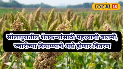 सोलापूर बातमी सोलापूर बातमी