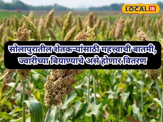 सोलापूर बातमी