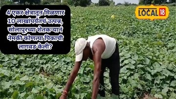 सोलापूर