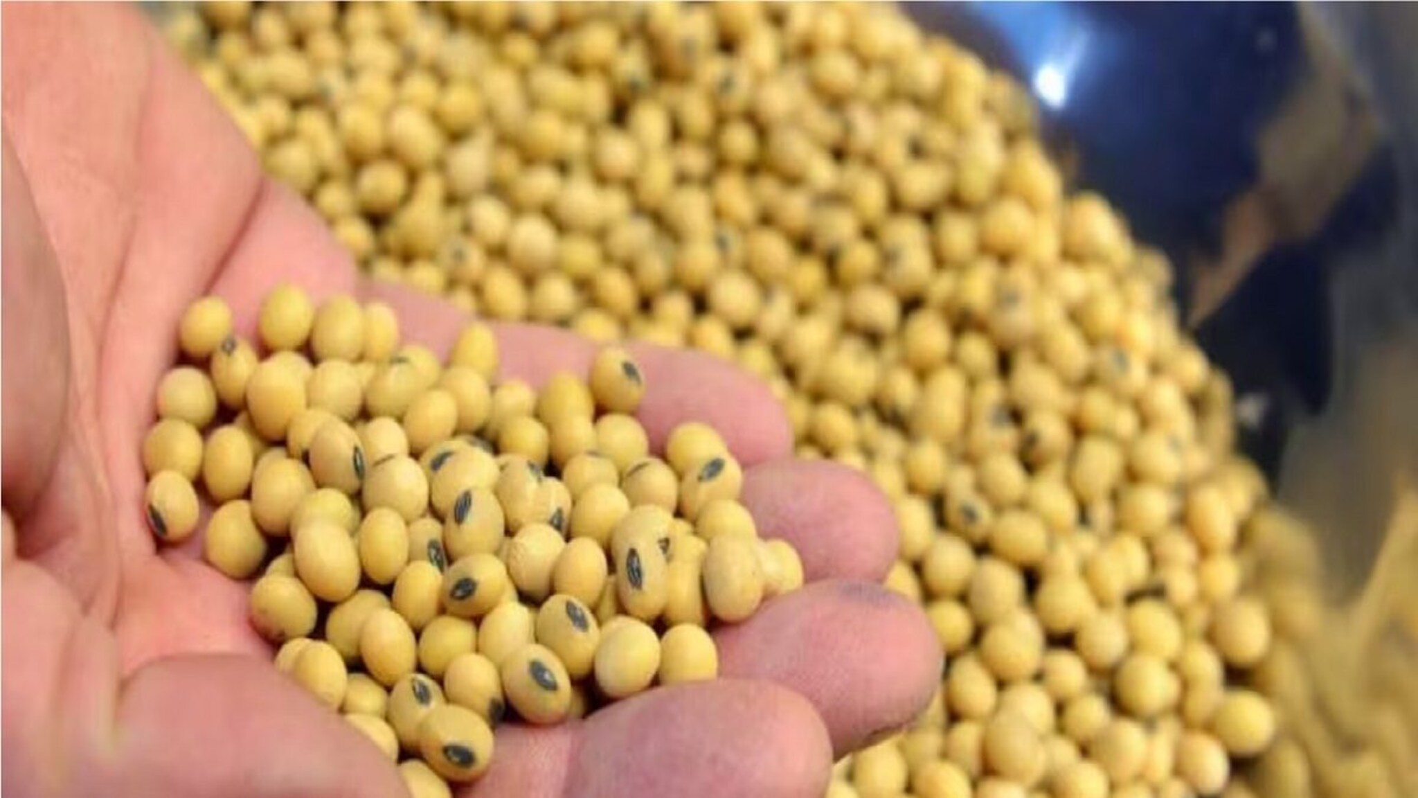 Soyabean Market Update : हा कोणता न्याय? सोयाबीनला हमी भावापेक्षाही मिळतोय कमी भाव, शेतकऱ्यांकडून संताप व्यक्त