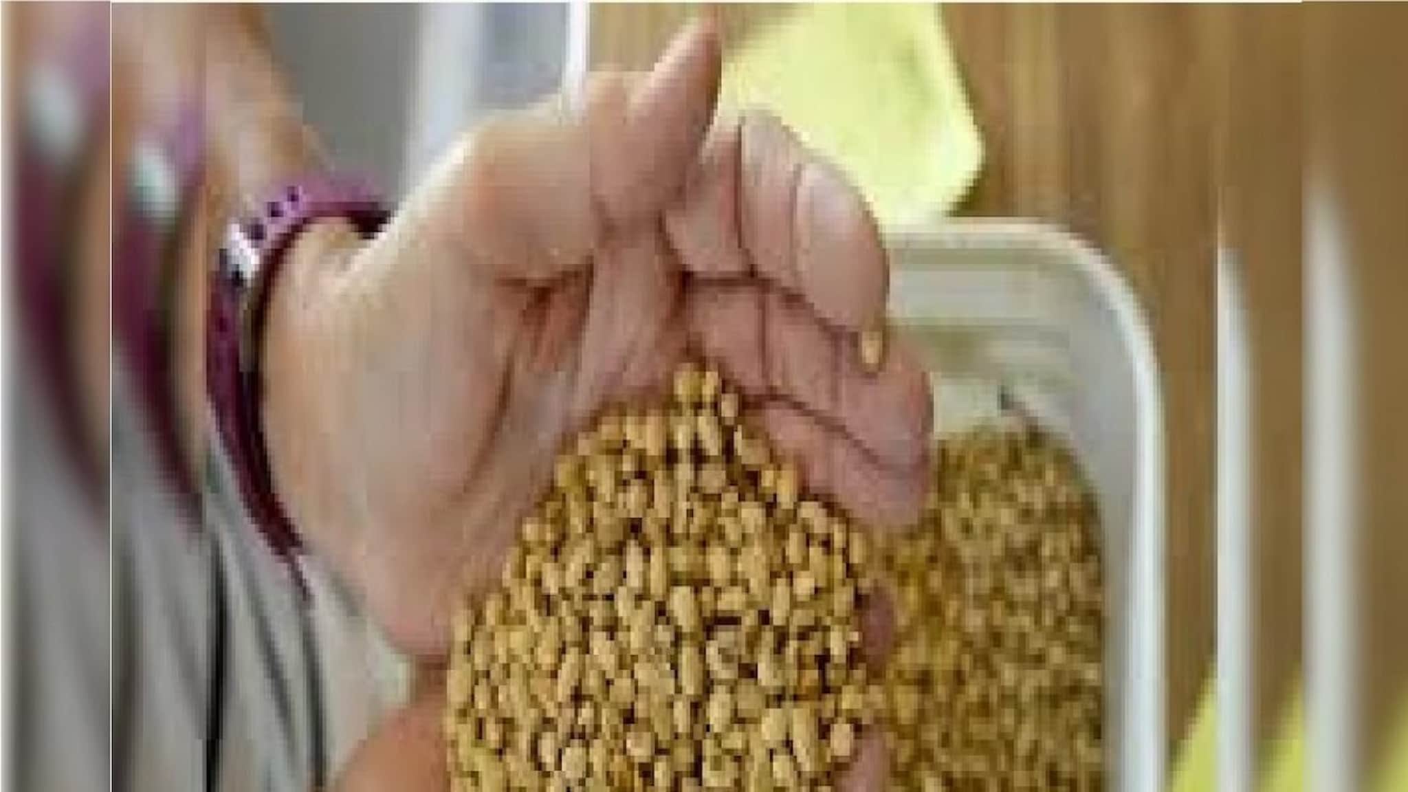 दिवाळीनिमित्त 3 नोव्हेंबरपर्यंत सोयाबीन खरेदी राहणार बंद, सध्याचे बाजारभाव काय?