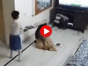 धक्कादायक व्हिडीओ व्हायरल धक्कादायक व्हिडीओ व्हायरल