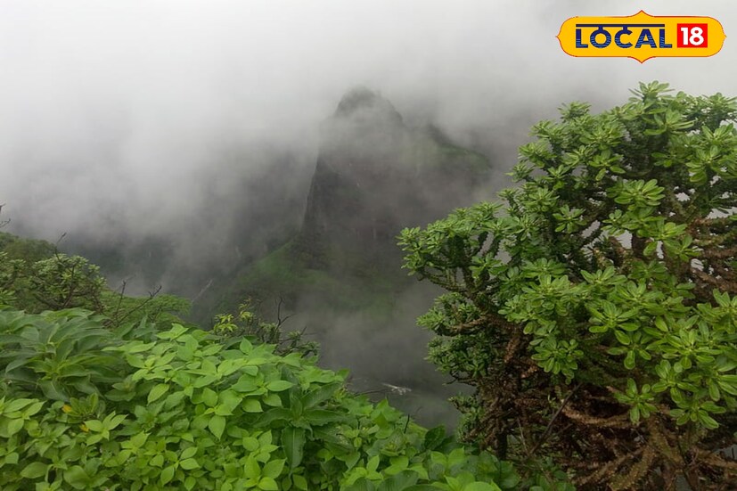 विदर्भात आता किमान तापमानात घट व्हायला लागली आहे. काही भागांत गुलाबी थंडी जाणवायला सुरवात झाली आहे. विदर्भात ऑक्टोबर हिट आणि परतीचा पाऊस या दुहेरी संकटाने नागरिकांना प्रचंड त्रास दिलाय. आता त्यातून नागरिकांना काहीसा दिलासा मिळणार आहे.