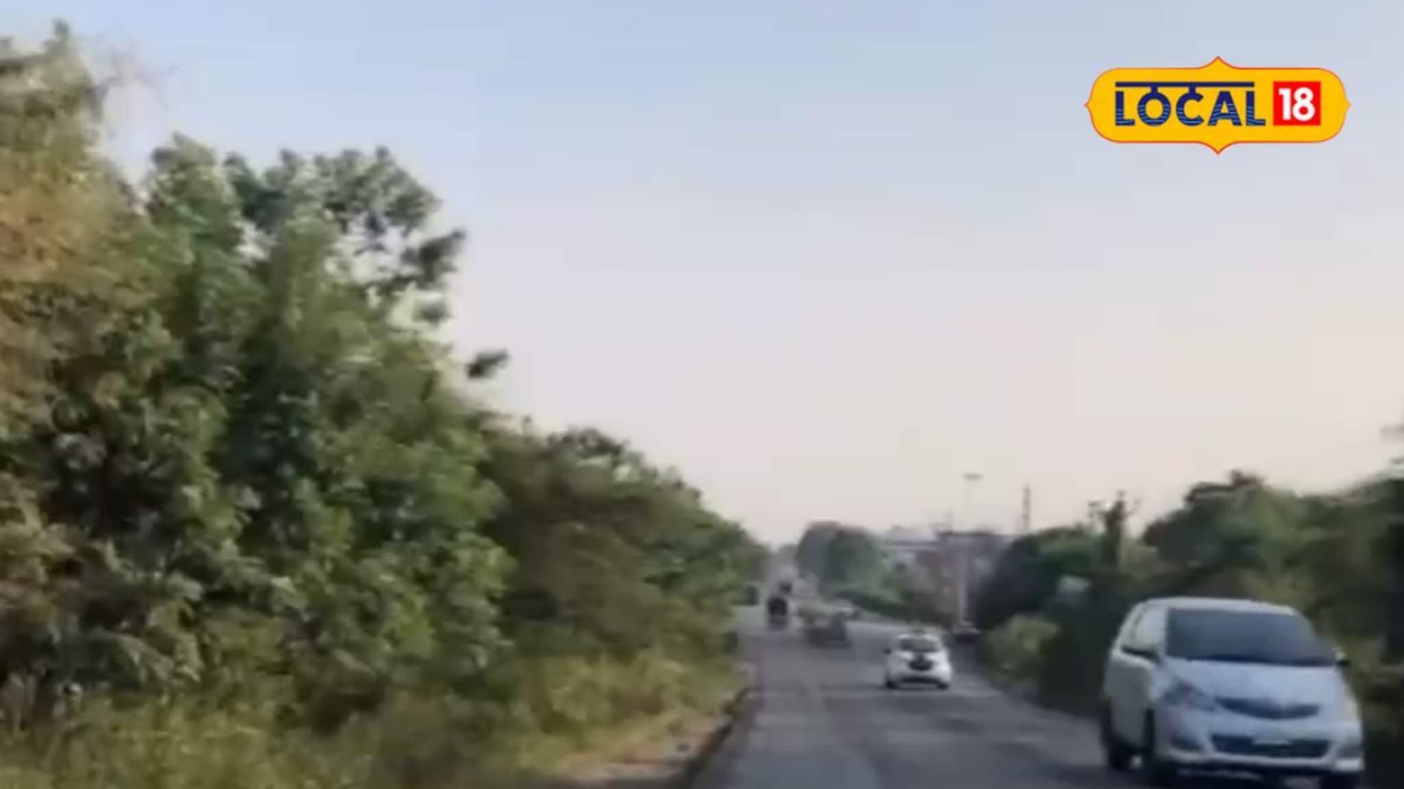 पारा घसरला, पश्चिम महाराष्ट्रात थंडीचा जोर, पाहा आजचं हवामान अपडेट